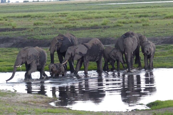 Overnight Mokoro Trail — 2-Night Okavango Delta Camping & Mokoro Safari photo 6