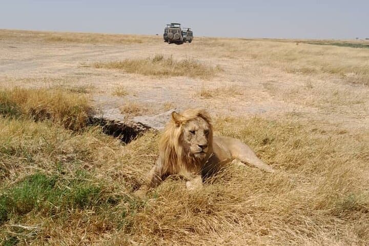 5-Day Midrange Safari: Tarangire, Serengeti & Ngorongoro from Arusha