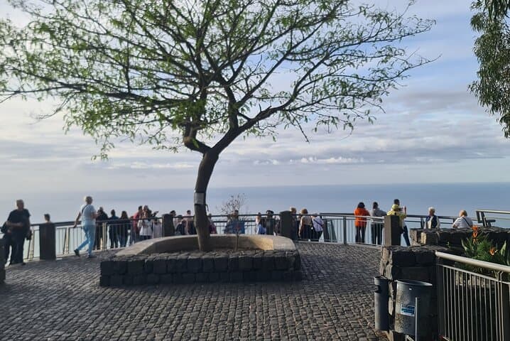 Madeira Private Full-Day Island Tour — West Coast Views & Eastern Peninsulas photo 4