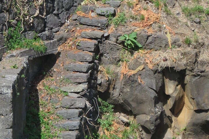 Full-Day 4x4 Jeep Tour to Porto Moniz and Fanal — Madeira Coastal & Mountain Scenic Drive photo 4