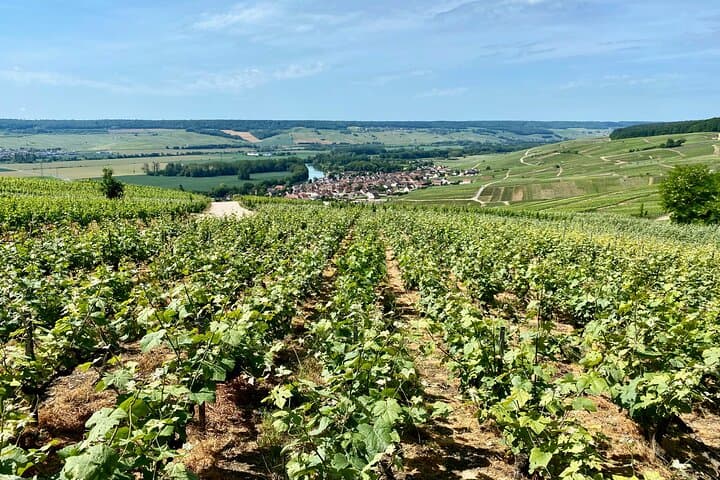 Dom Pérignon Cellars Private Champagne Tasting Day Trip from Paris photo 2
