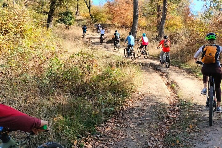 E-Bike Guided Tours in Sâmbăta de Sus — Făgăraș Mountains E-Biking photo 4