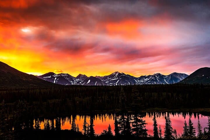 Three-Day Private Denali Photo Workshop — Capture Denali & the Denali Highway