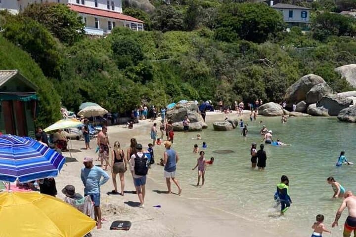 Penguin Watching & Beach Day at Boulder's Beach — Half-Day from Cape Town photo 4