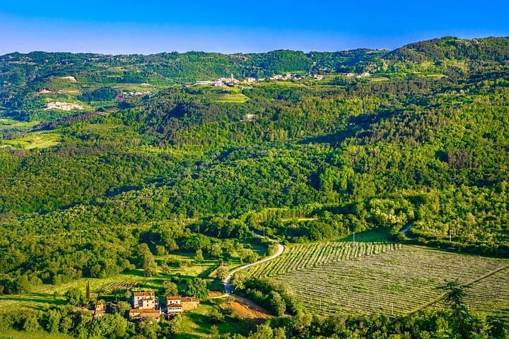 Full-Day Private Istria Wine Tour from Porec: Kozlović, Kabola & Veralda photo 1