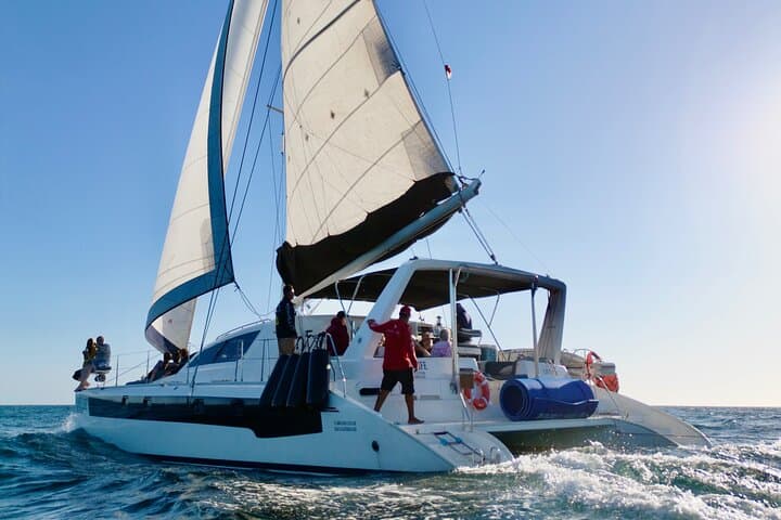 Luxury Catamaran Charter in Cabo San Lucas — All‑Inclusive Sailing to El Arco photo 3