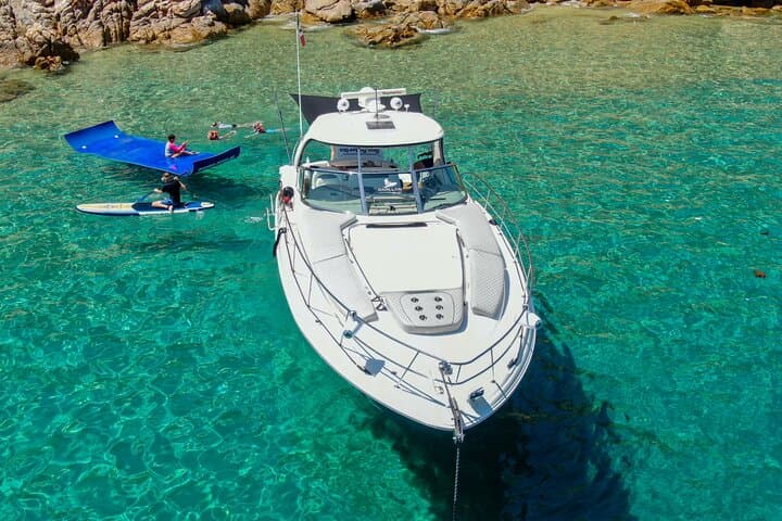 Luxury Private Sea Ray Yacht Charter in Cabo — Whale Watching & Snorkel Cruise photo 1