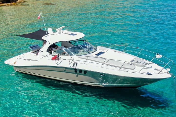 Luxury Private Sea Ray Yacht Charter in Cabo — Whale Watching & Snorkel Cruise photo 2