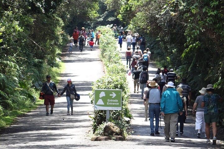 Poás Volcano, Hacienda Doka & La Paz Waterfalls Private Tour from San José photo 4