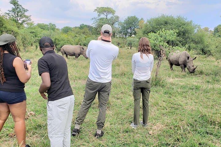 Up Close with Zambia's White Rhinos: Private Game Drive in Mosi-oa-Tunya photo 4