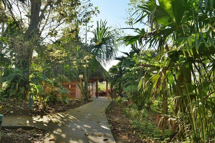4-Day Archidona Amazon & Kichwa Community Lodge Tour photo 4