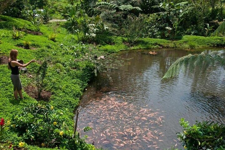 4-Day Archidona Amazon & Kichwa Community Lodge Tour photo 3