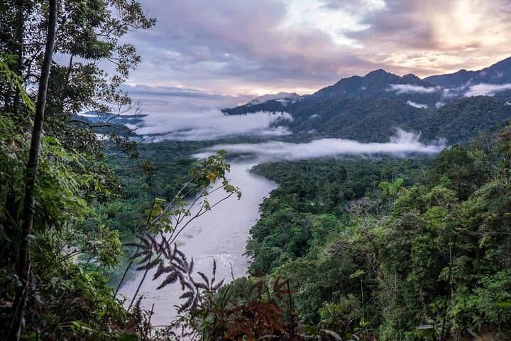 4-Day Archidona Amazon & Kichwa Community Lodge Tour photo 2