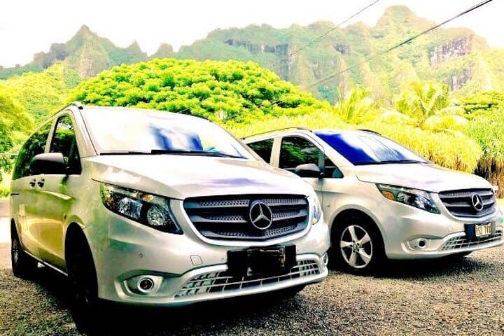 Oahu Unveiled: Private Circle-Island Luxury Tour — Dole, North Shore & Secret Beaches photo 5
