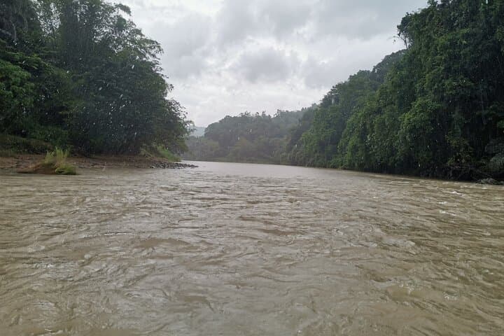 Kiulu River Rafting Daytrip: Grade 1–2 River Run from Kota Kinabalu