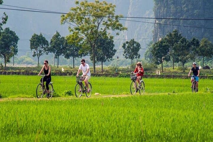 Luxury 3-Day Ninh Binh and Ha Long Bay 5-Star Cruise from Hanoi photo 3