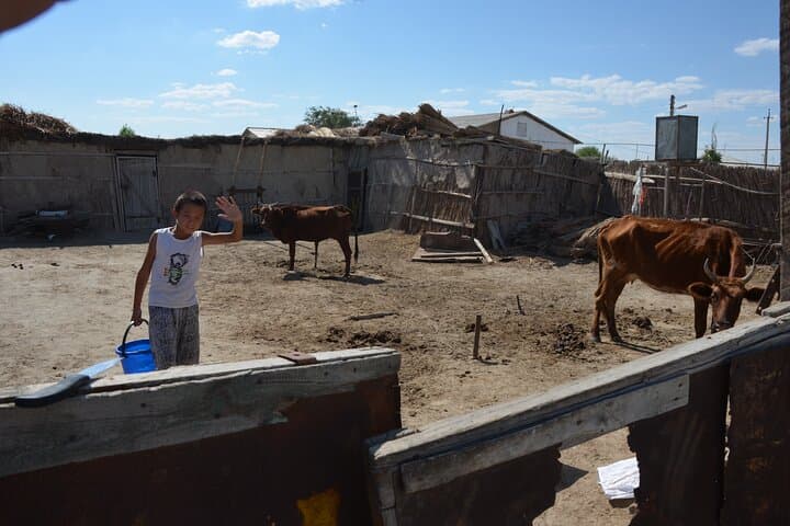 Kolkhoz Private Visit to Cotton Farmers' Village near Samarkand photo 3