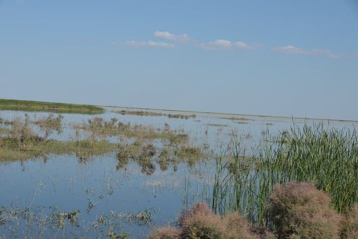 Kolkhoz Private Visit to Cotton Farmers' Village near Samarkand photo 5
