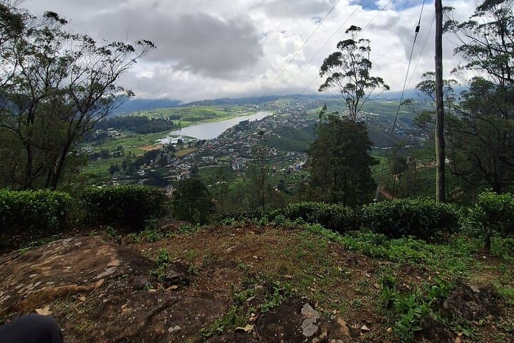 Nuwara Eliya Short Forest & Tea-Field Walk: A 3-Hour Private Hike photo 6