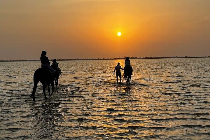 Sunset Horseback Ride on Dahban Beach — Private Red Sea Experience