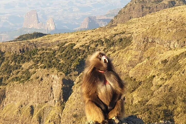3-Day Simien Mountains Trek: Sankaber, Geech & Imet Gogo