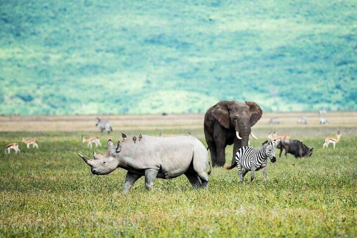 3-Day Tarangire & Ngorongoro Safari — Elephants, Craters & Baobabs photo 3