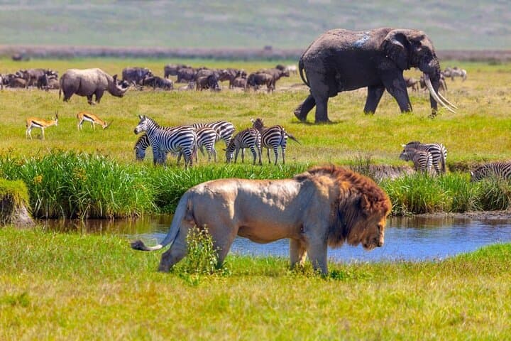 3-Day Tarangire & Ngorongoro Safari — Elephants, Craters & Baobabs photo 4