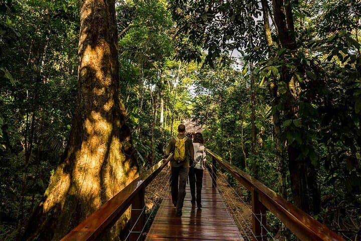 4-Day Tambopata Amazon Adventure: Sandoval Lake, Clay Licks & Ese'Eja Community