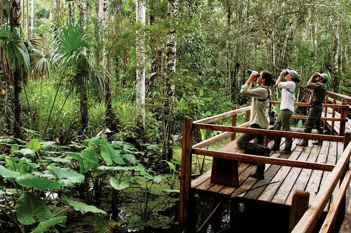 4-Day Tambopata Amazon Adventure: Sandoval Lake, Clay Licks & Ese'Eja Community photo 3