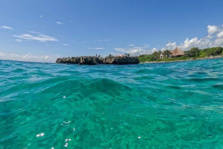 ATV and Snorkel Day from Cancun: Jungle Rides, Cenote Swim & Caribbean Snorkel photo 4