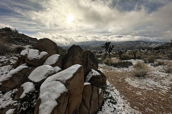 Self-Guided Audio Drive Through Joshua Tree National Park photo 5