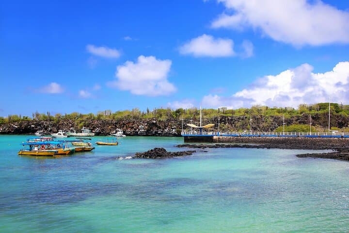 4-Day Galapagos Expedition: Santa Cruz, Bartolomé & Snorkel with Sea Lions photo 4