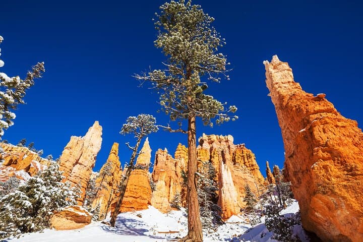 Bryce Canyon Self-Guided Driving Audio Tour: Hoodoos, Views & History photo 5