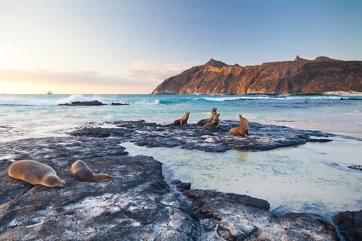 5-Day Guided Galapagos Adventure: Diving, Highlands Horseback & Kayak photo 4