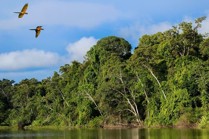 Manu Reserved Zone 6-Day Amazon Jungle Tour from Cusco photo 4