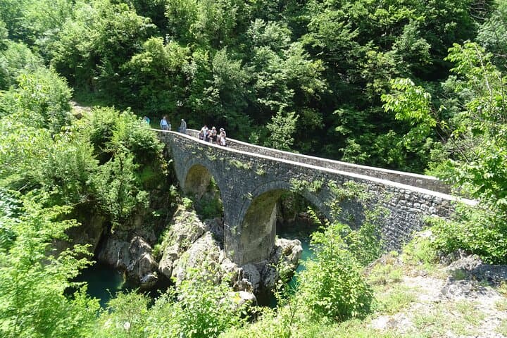 Moraca Canyon & Biogradska Gora: Private Day Tour from Podgorica photo 4
