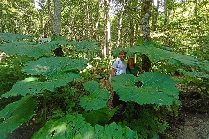 Moraca Canyon & Biogradska Gora: Private Day Tour from Podgorica photo 2