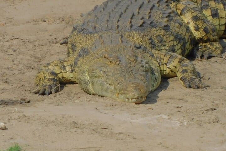 One Day Akagera Safari from Kigali: Lake Ihema & Big Game in Eastern Rwanda photo 4
