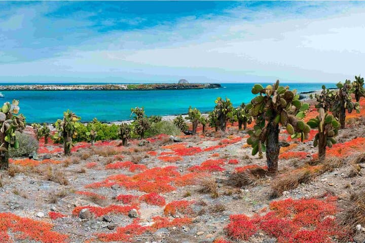 5-Day Galapagos Wildlife Discovery: Santa Cruz & Uninhabited Islands photo 3