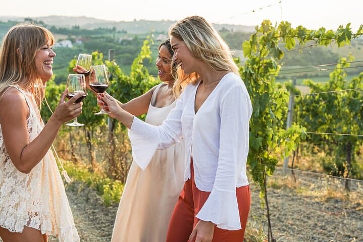 Vistas and Wines: Private Tour of Adelaide, Mount Lofty & McLaren Vale photo 6