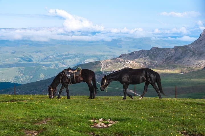 2-Hour Private Horseback Ride from Tbilisi — Lilo Mall Equestrian Club