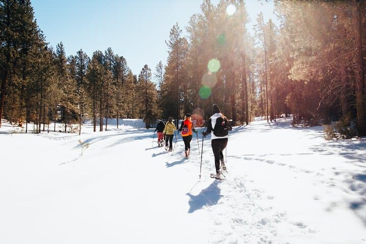 Taos Backcountry Snowshoe Tour — Amole Canyon Winter Hike with Guide