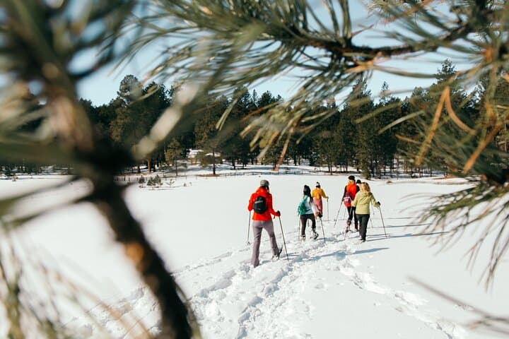 Taos Backcountry Snowshoe Tour — Amole Canyon Winter Hike with Guide photo 3