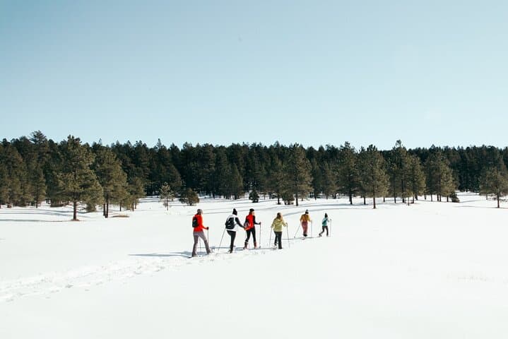 Taos Backcountry Snowshoe Tour — Amole Canyon Winter Hike with Guide photo 5