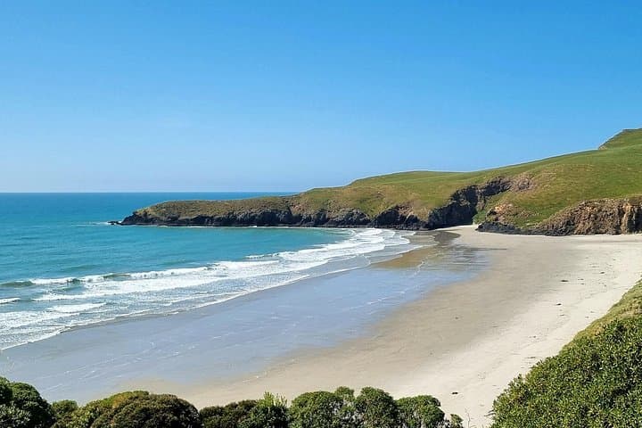 Dunedin and Otago Peninsula Small-Group Tour — Larnach Castle, Penguins & Coastal Walks photo 1