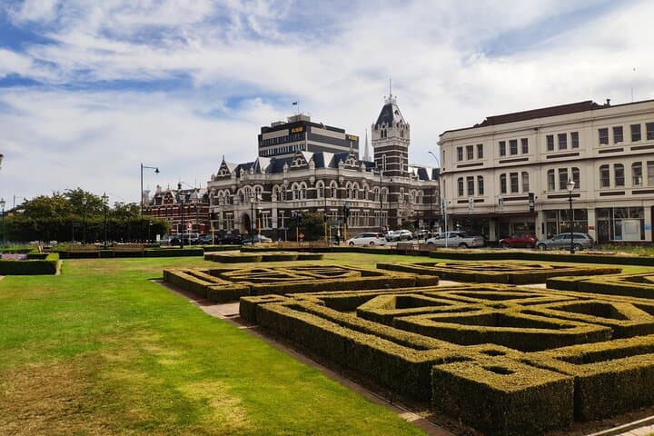 Dunedin City and Coastal Views — 3-Hour Small-Group Guided Tour photo 2