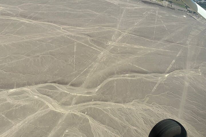 Nazca Lines Overflight and Huacachina Dunes Day Trip from Lima photo 2