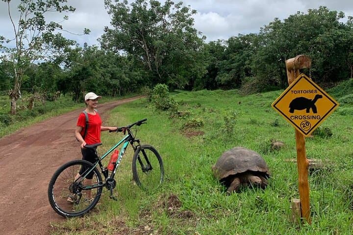 Electric Bike Tour to Giant Tortoises in Santa Cruz Highlands photo 3