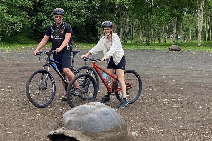 Electric Bike Tour to Giant Tortoises in Santa Cruz Highlands