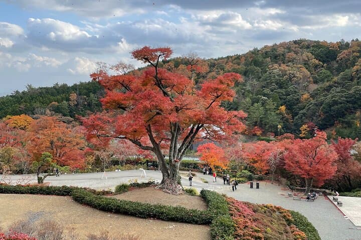 Osaka and Beyond Cycle Tour: Minoh Loop & Riverway Bike Adventure photo 5